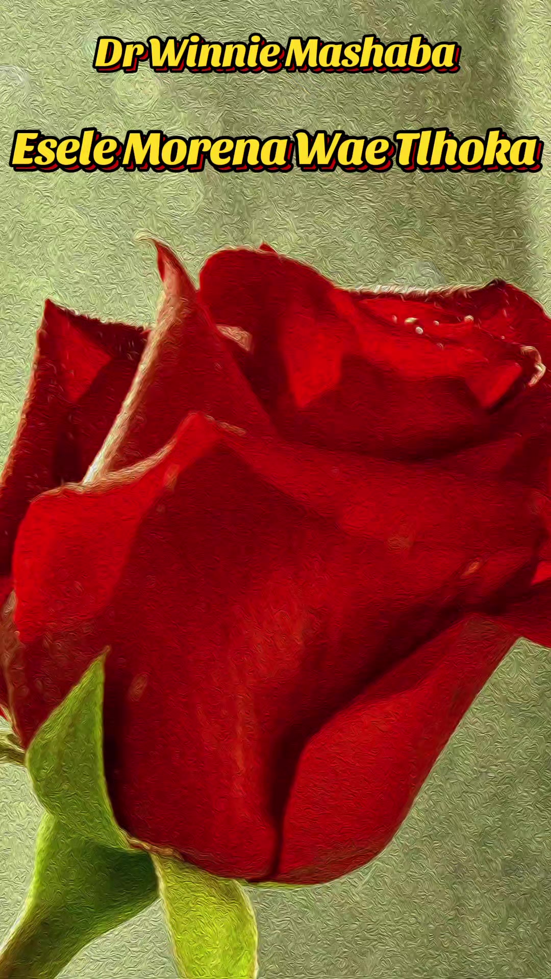 @Lyrics Hub