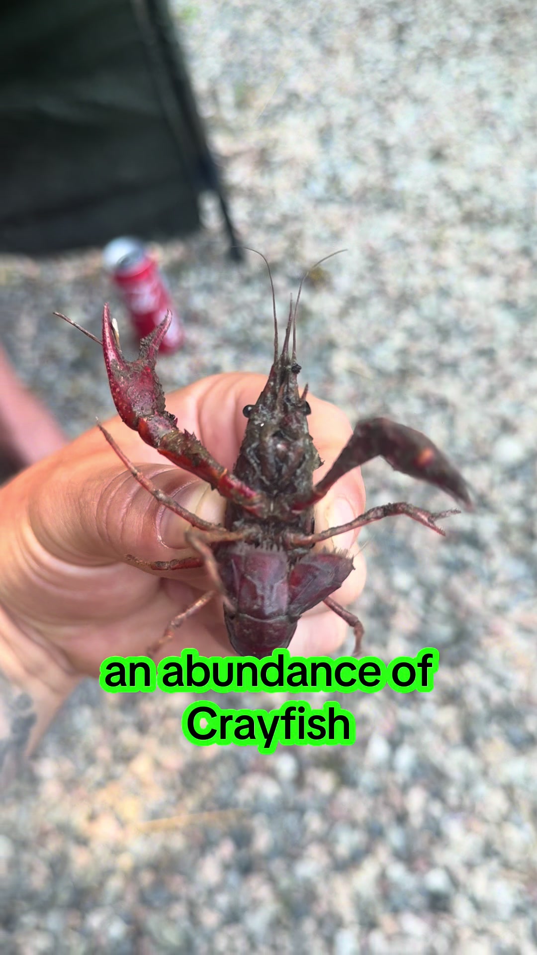 @Fishing with Michael