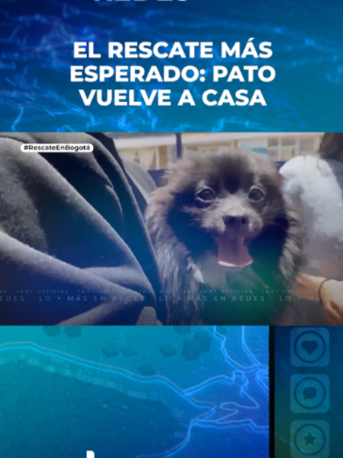 @Red+ Noticias