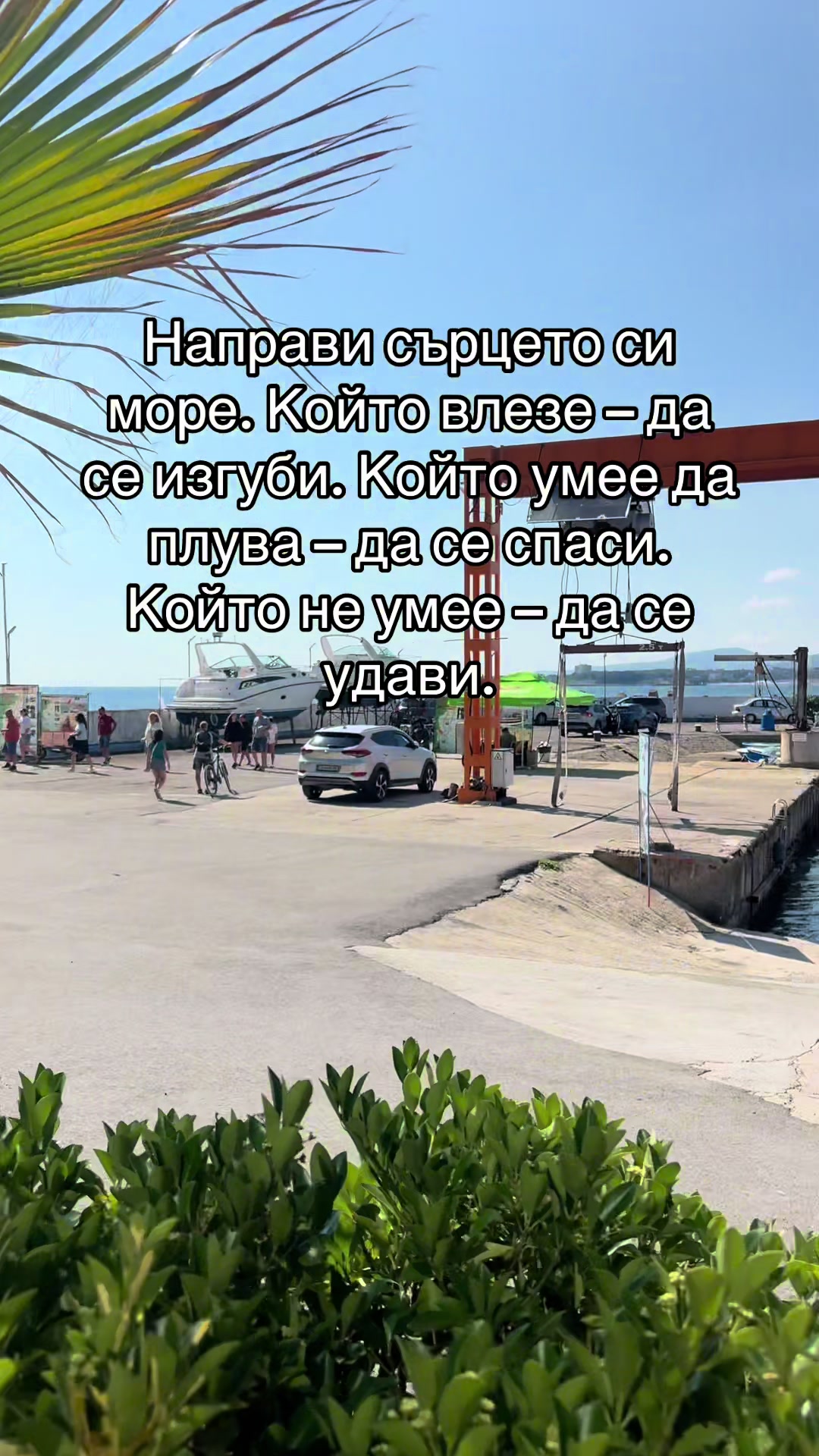 @ivelinakishev