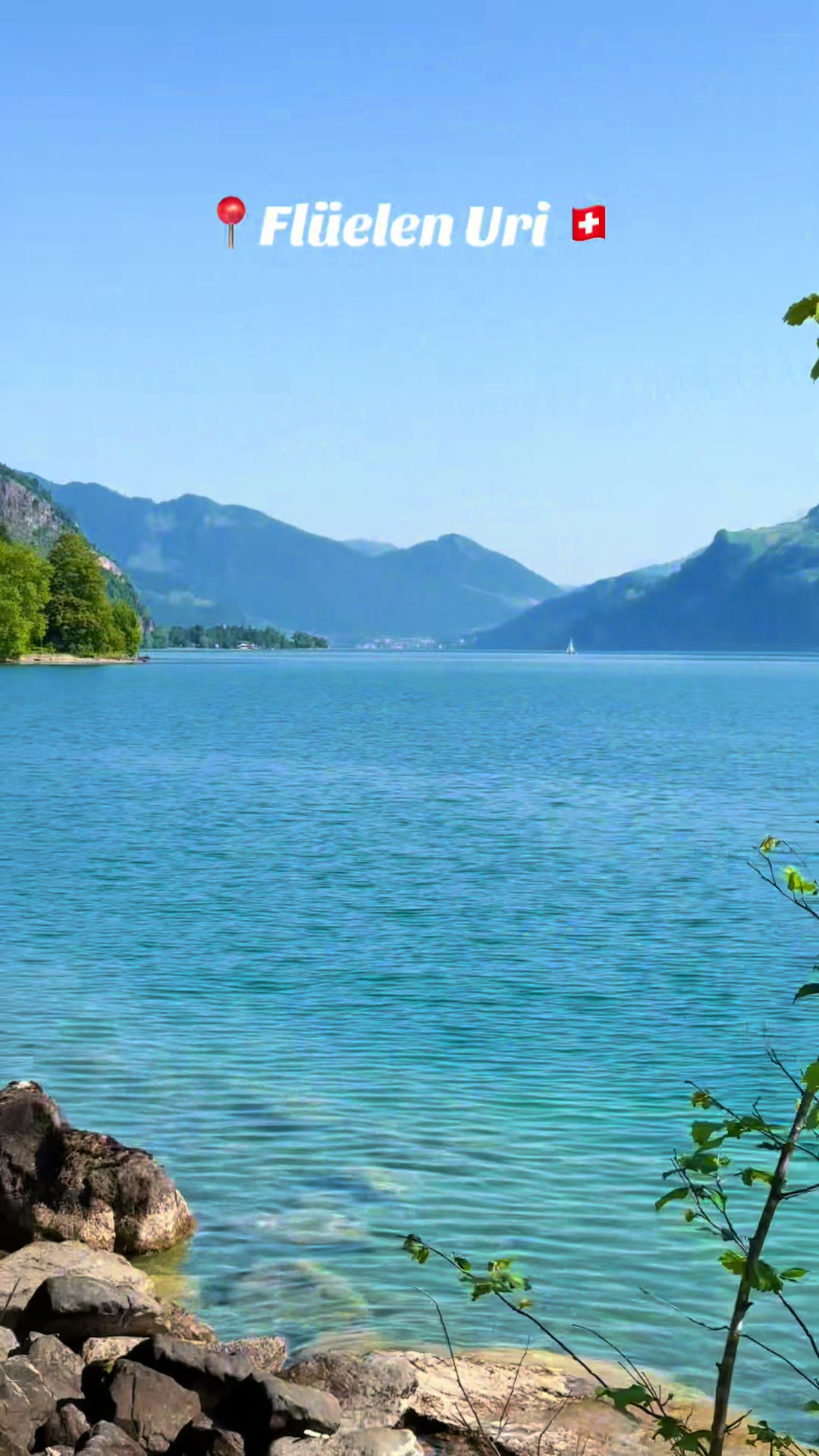@swiss_alps