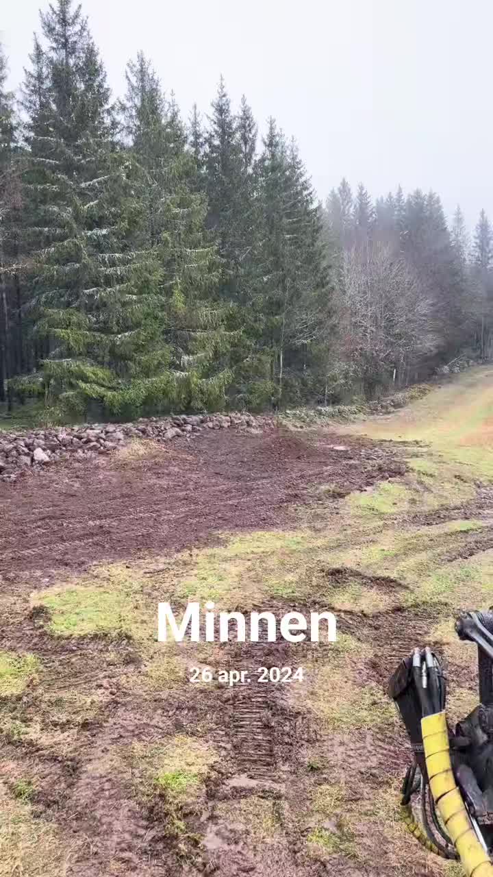 @Mikael T