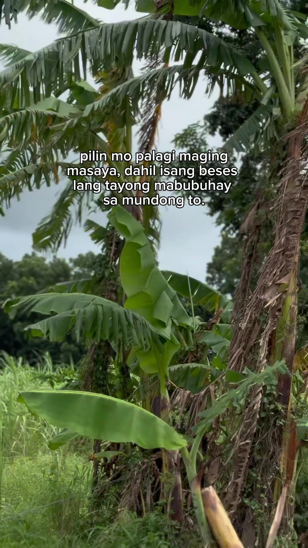 @John Lester Flores