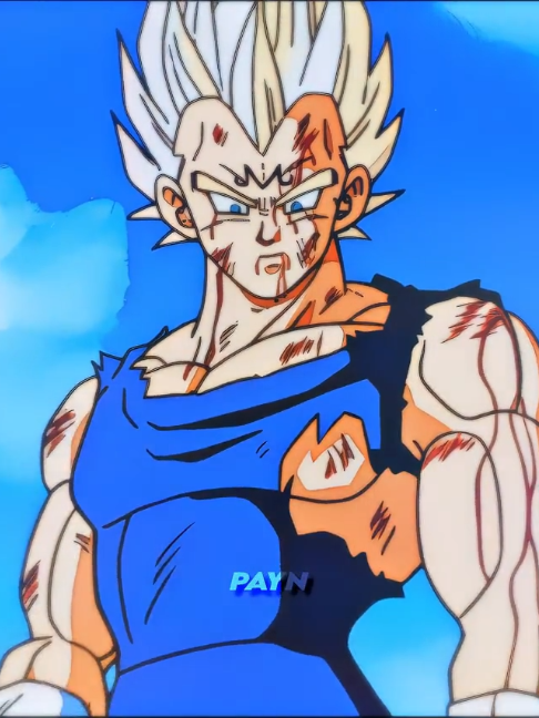 @payn_ae
