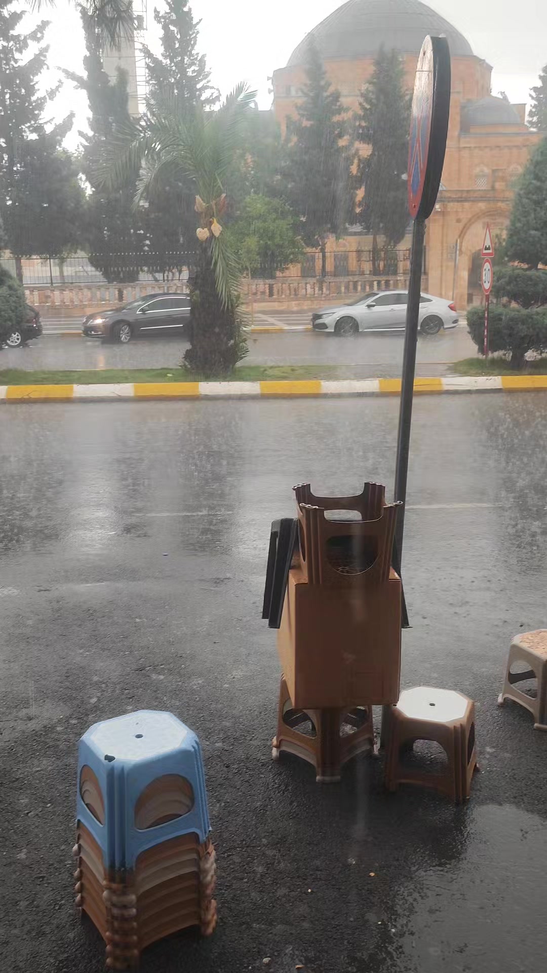 @&Ccedil;amlık vitamin