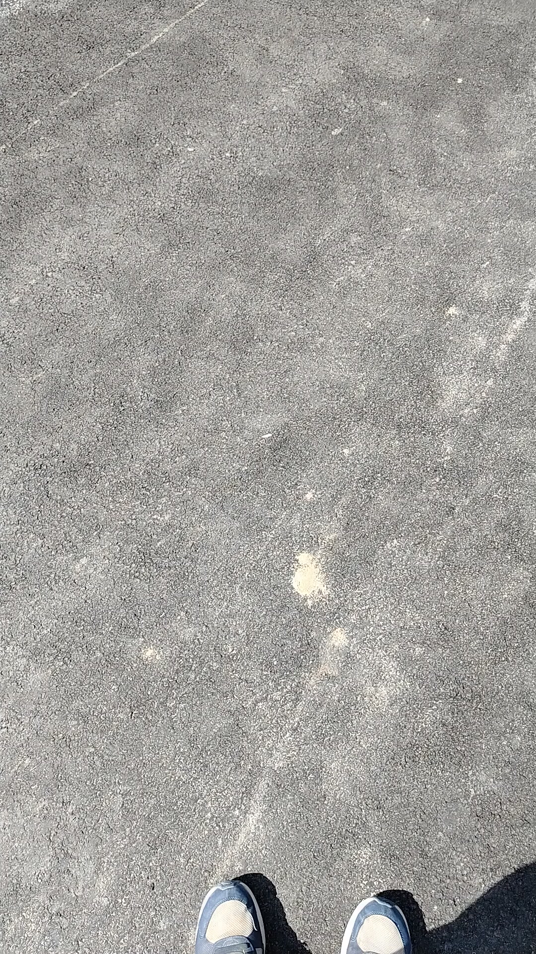 @WWW
