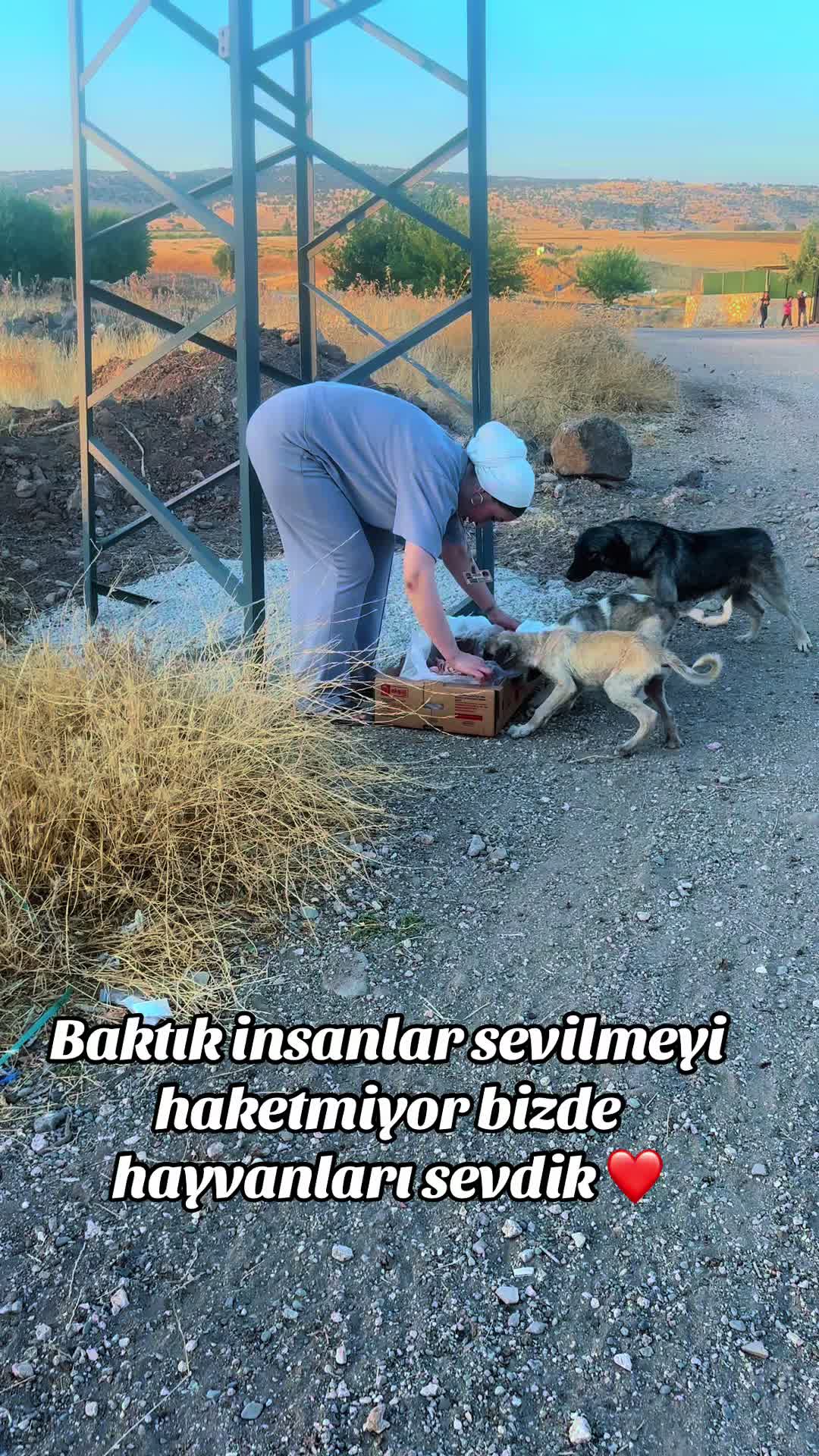 @Pınar AWZEYD