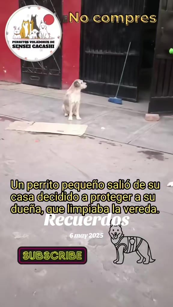 @Perritos Voladores