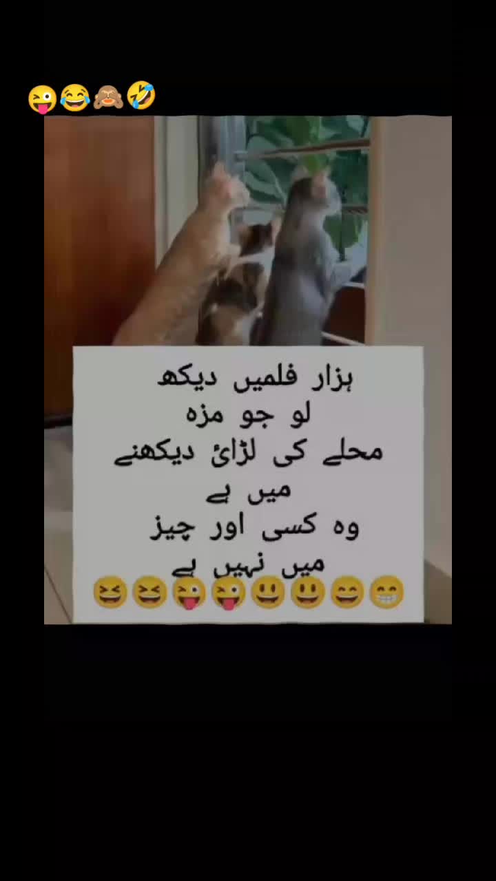 @Mis Chaudhary