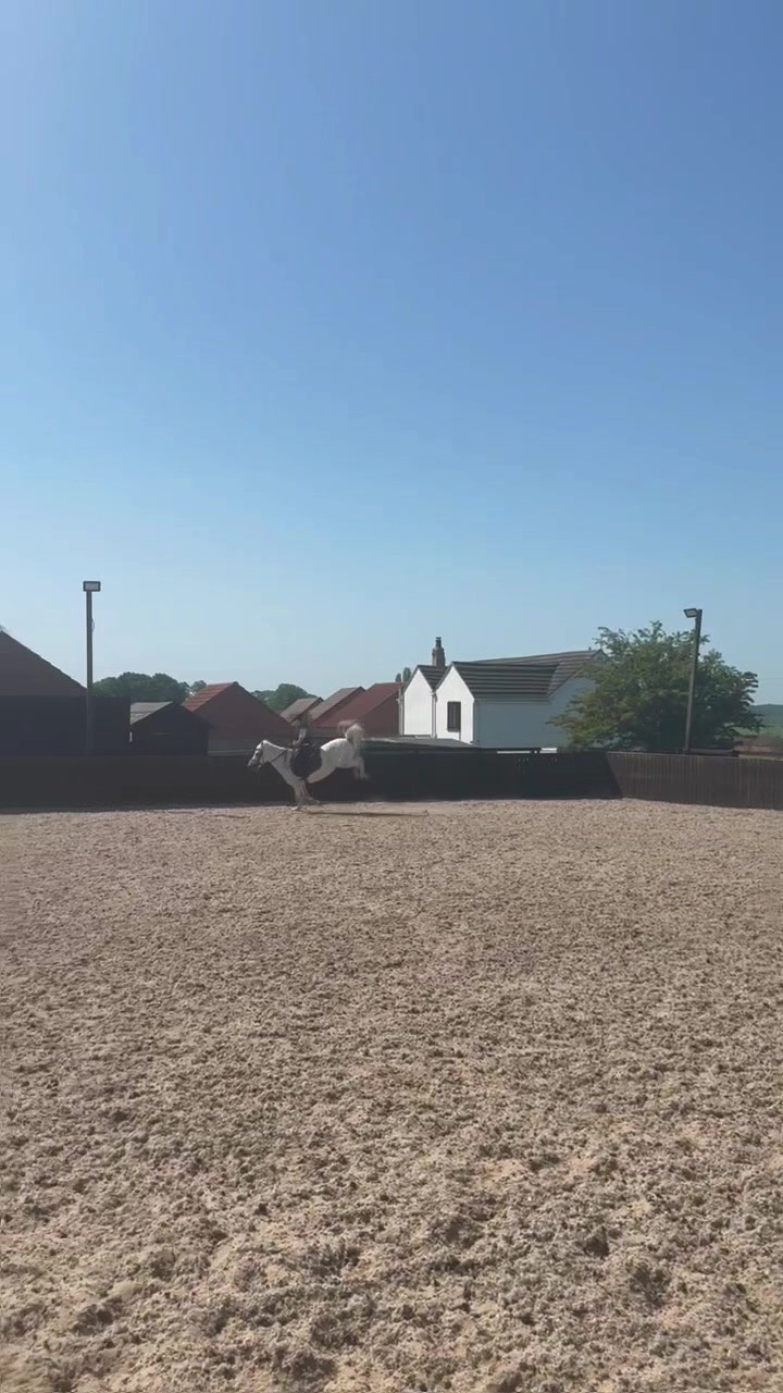 @LottiesHorseAdventures🦄🐴