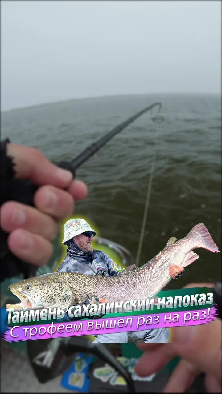 @mefik
