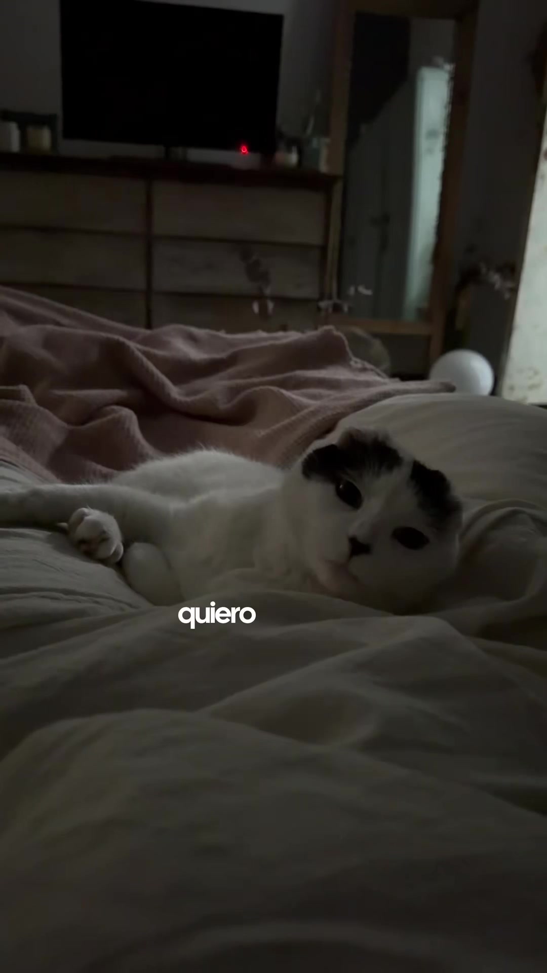 @Mecha  ⋆˚✿˖&deg;