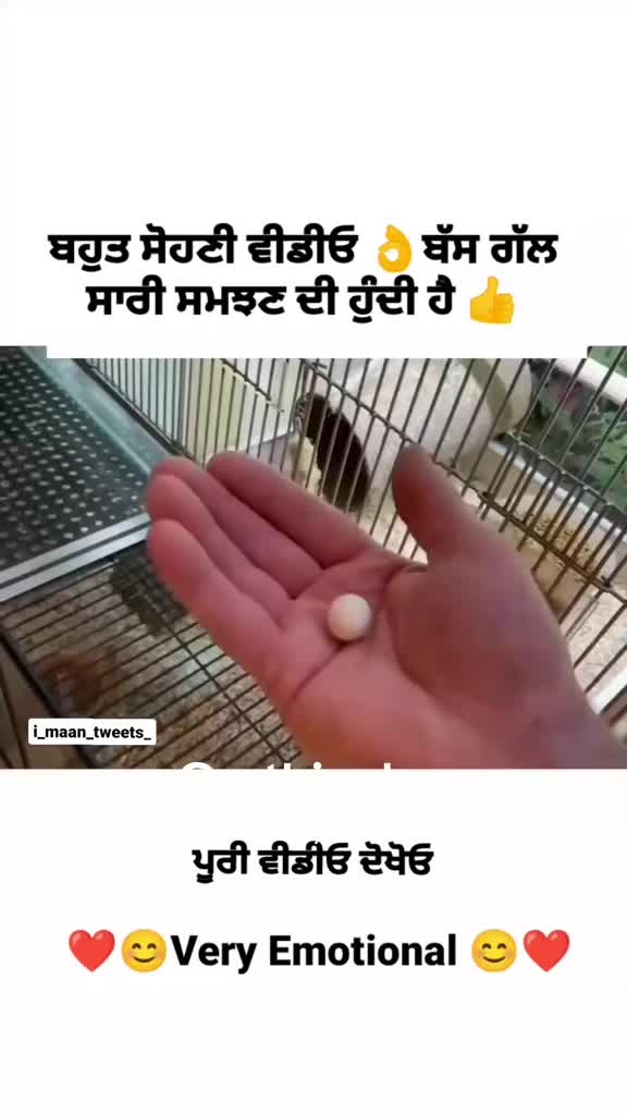 @PB23_wale