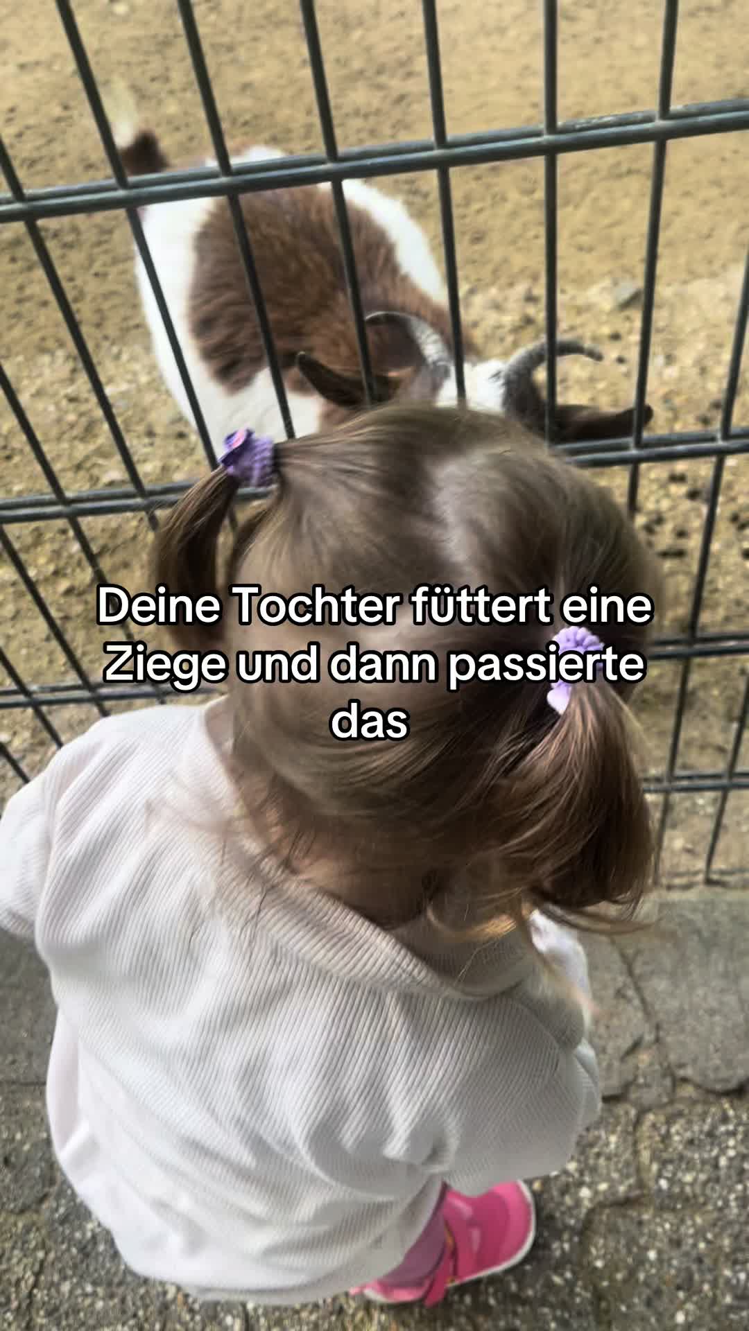 @Linoxx