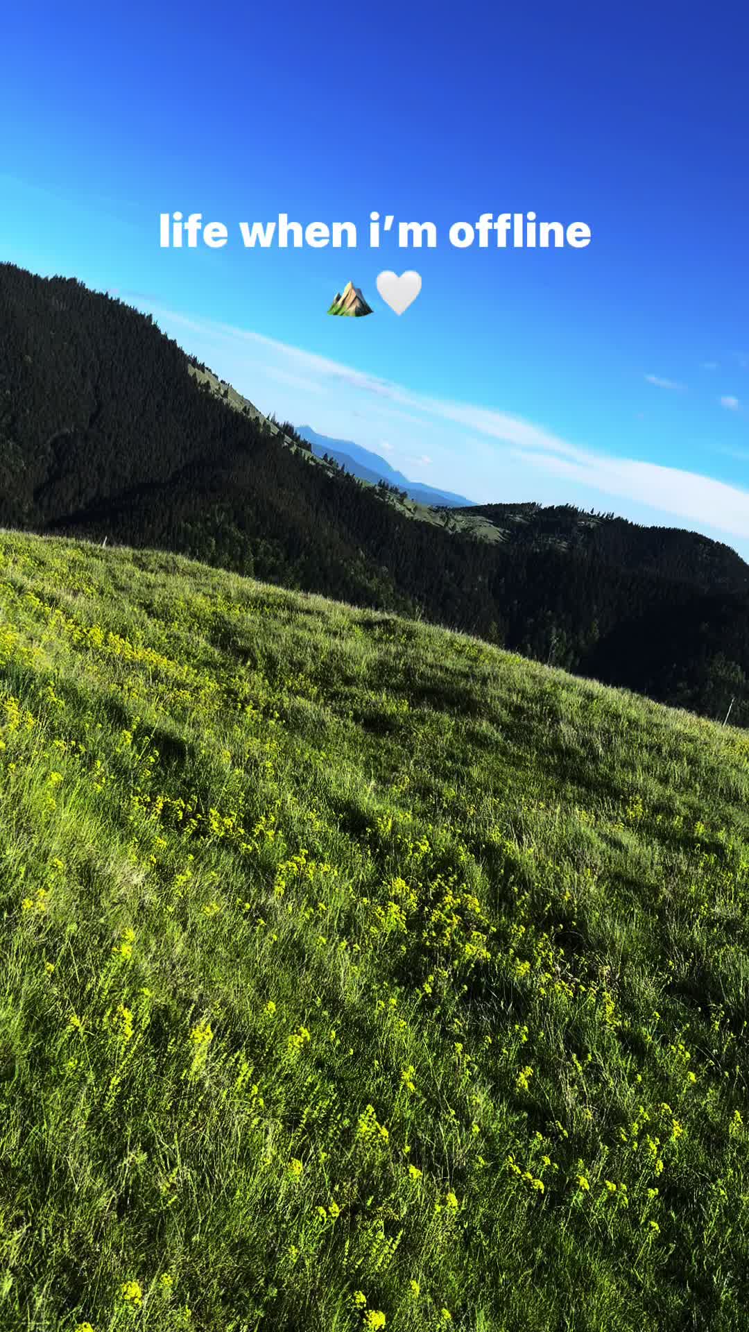 @Dumitrela🤍