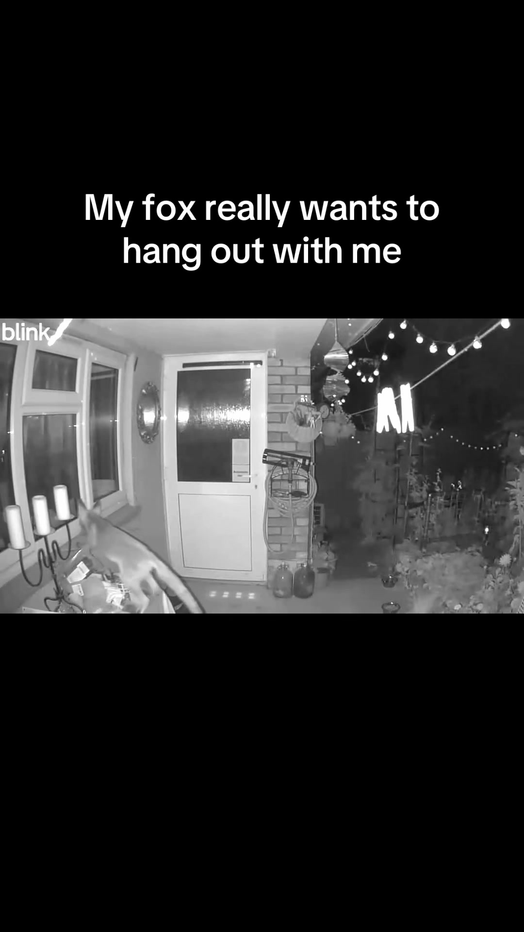 @Jess ♿️