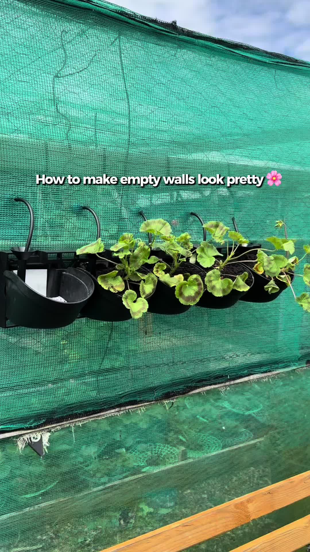 @AllotmentOnline