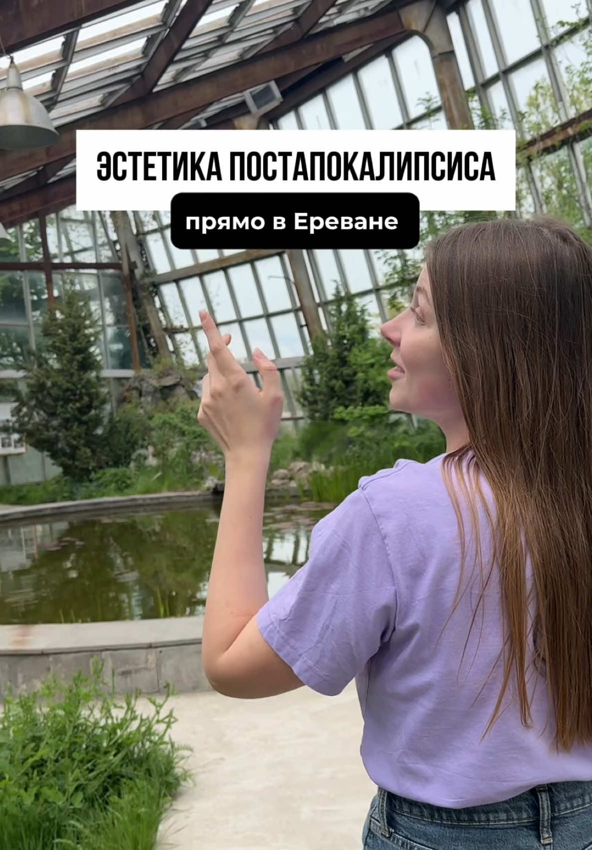 @Travelling Cat