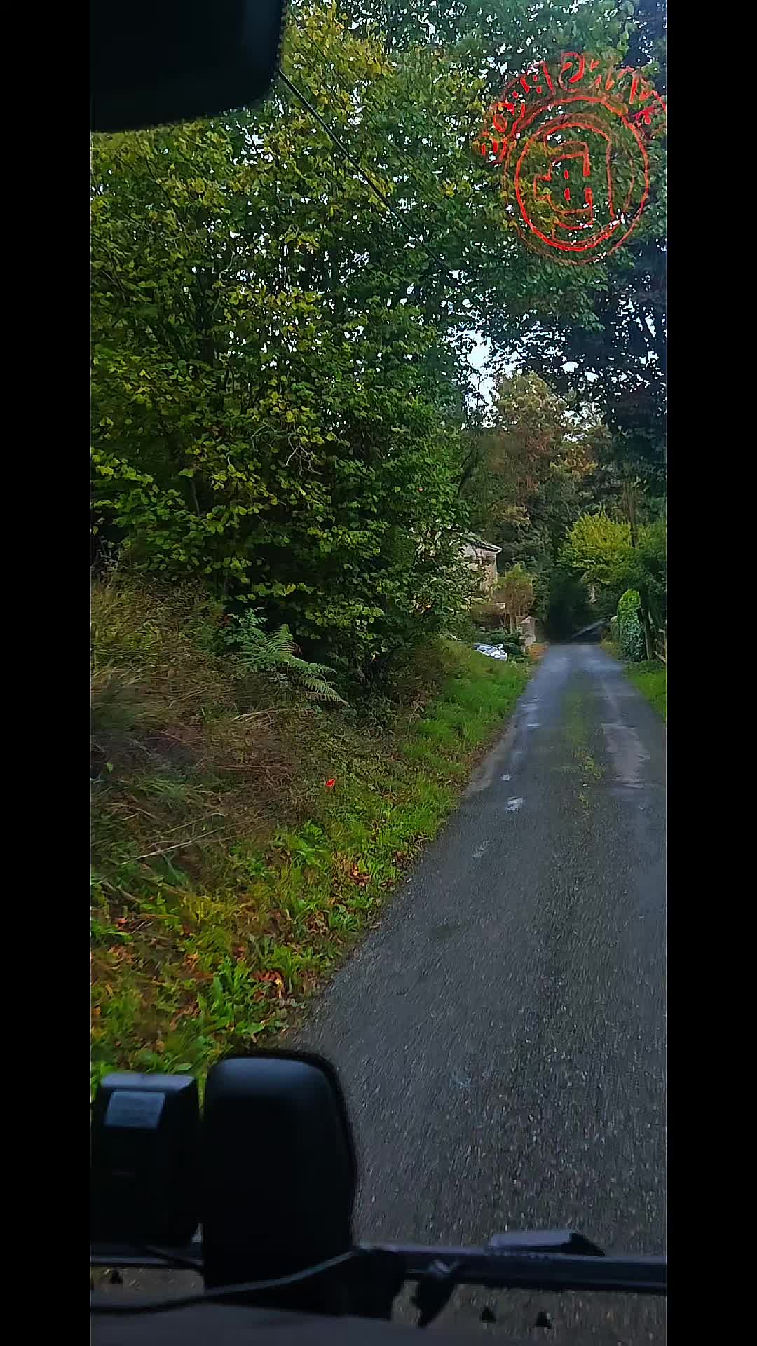 @😺🚛🄶🄰🅁🄵🅈🚛😺