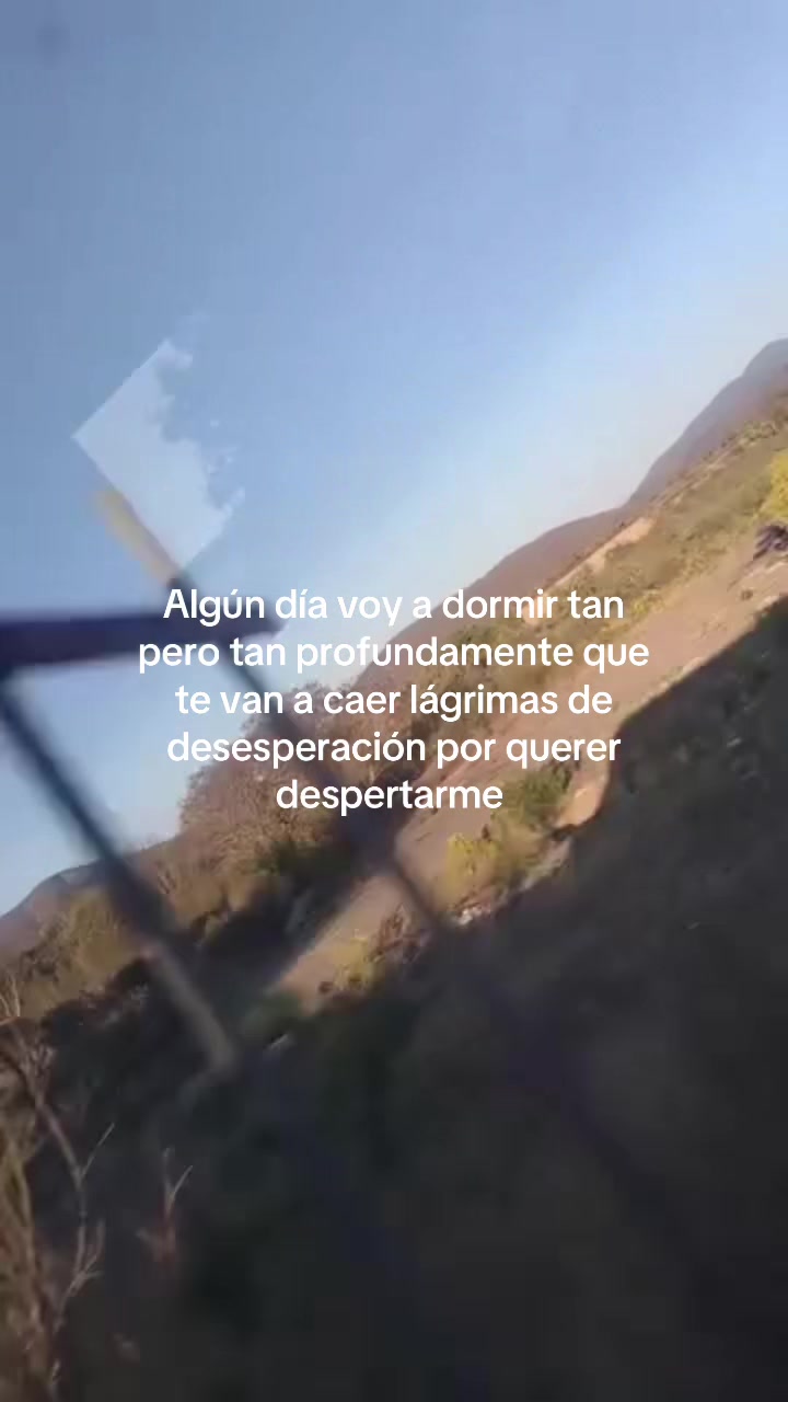 @️Andy_🦓