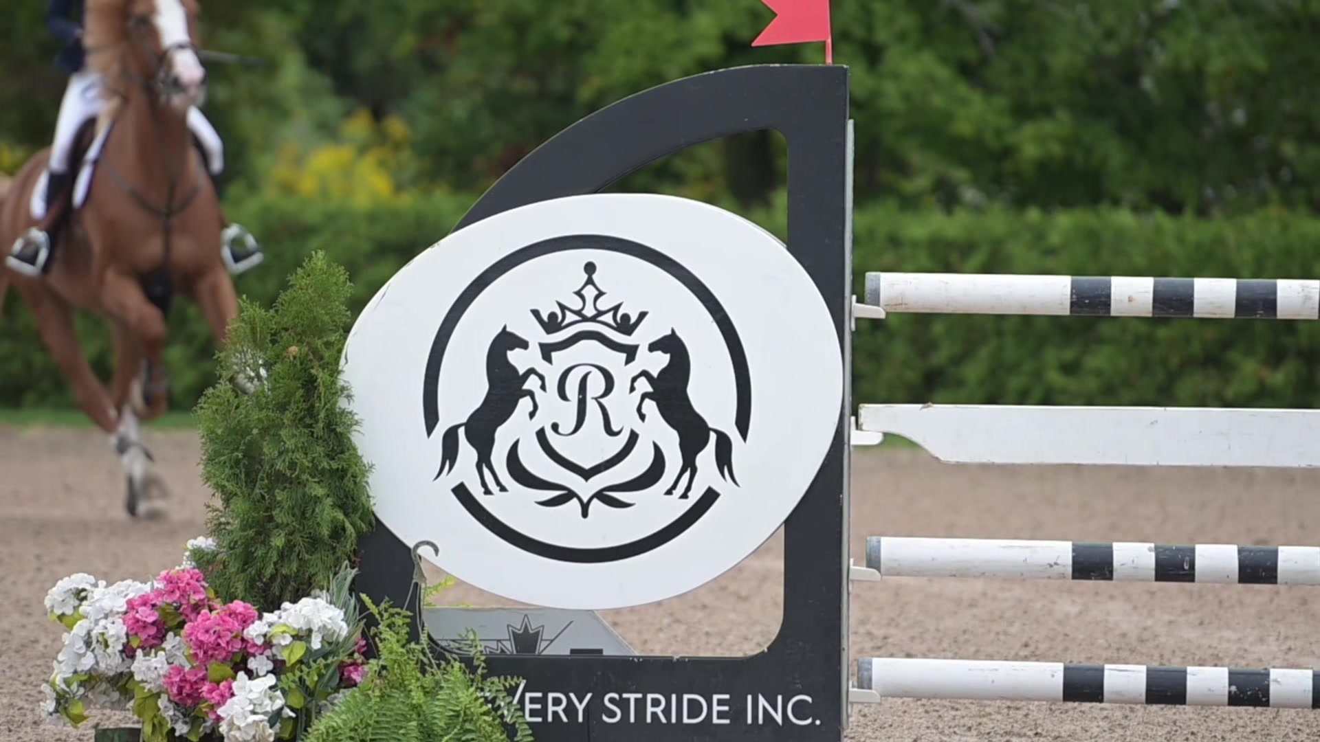 @Ride Every Stride Inc.