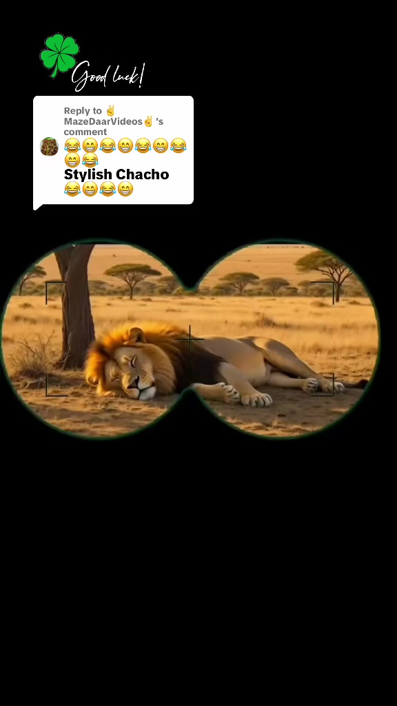 @PAGAL