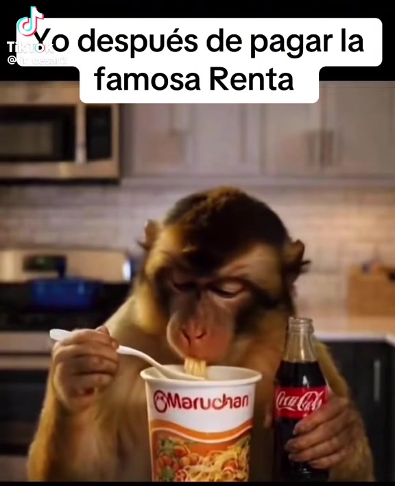 @Reynoso