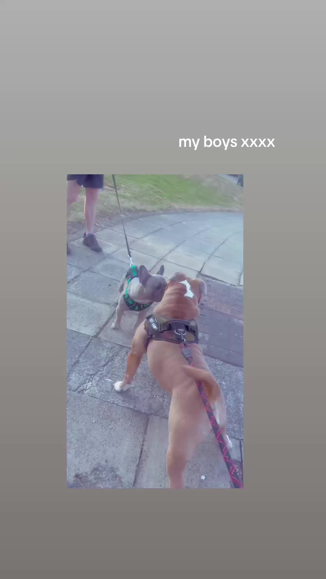@kierrajosibson