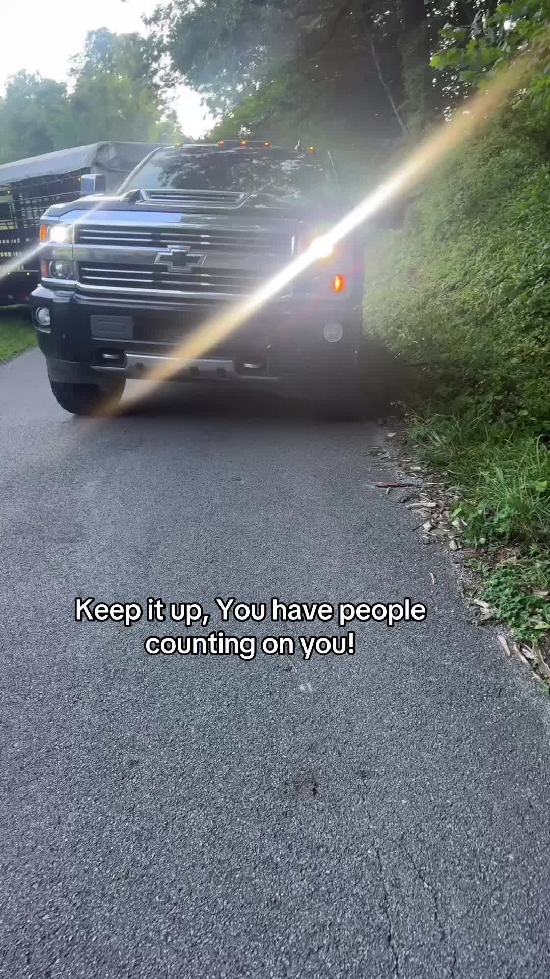 @tripleclivestock