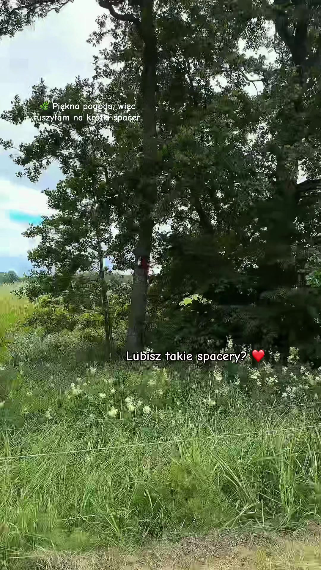 @🐾🌿kavirax12 🌿🐾