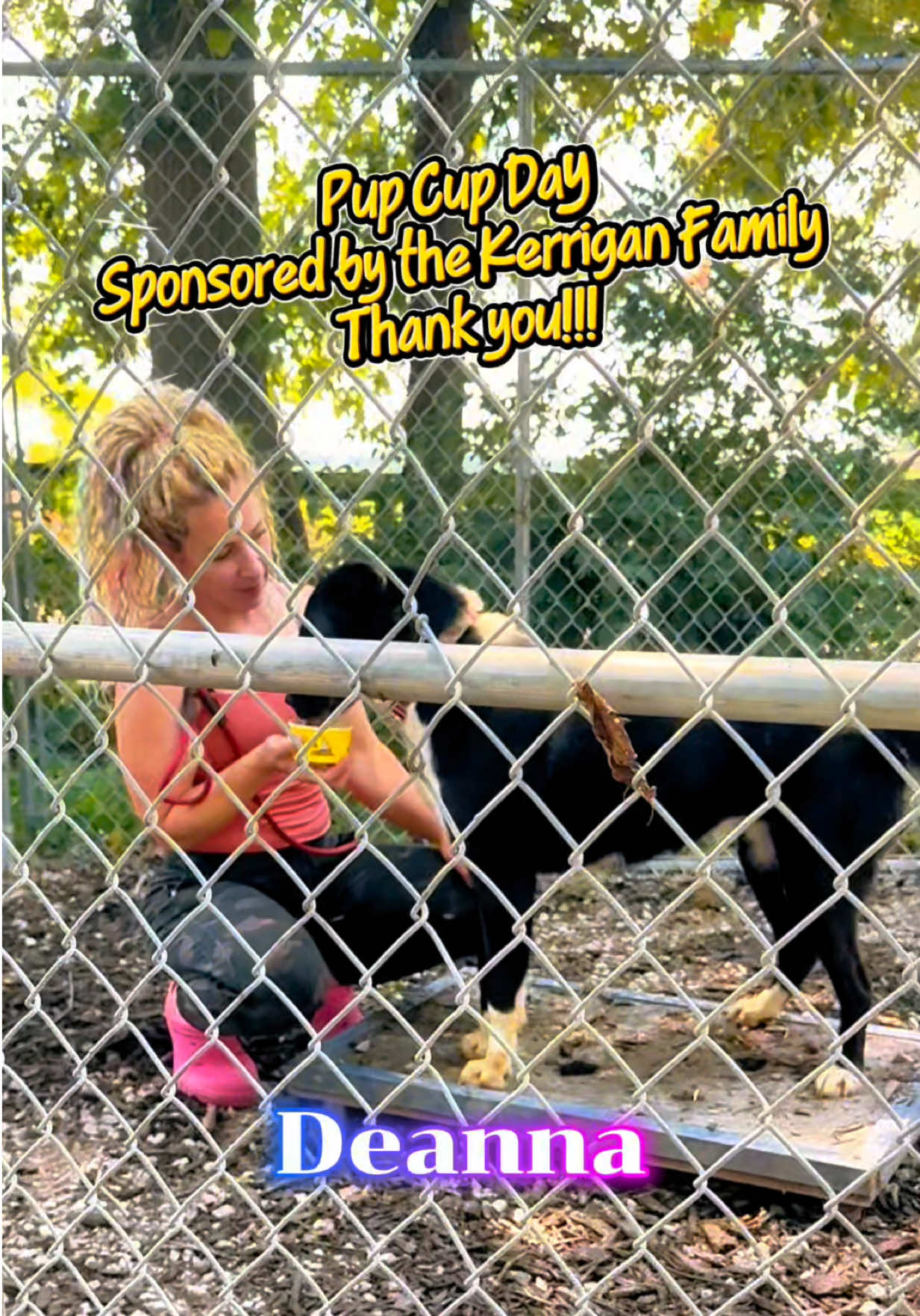 @shininglightanimalrescue