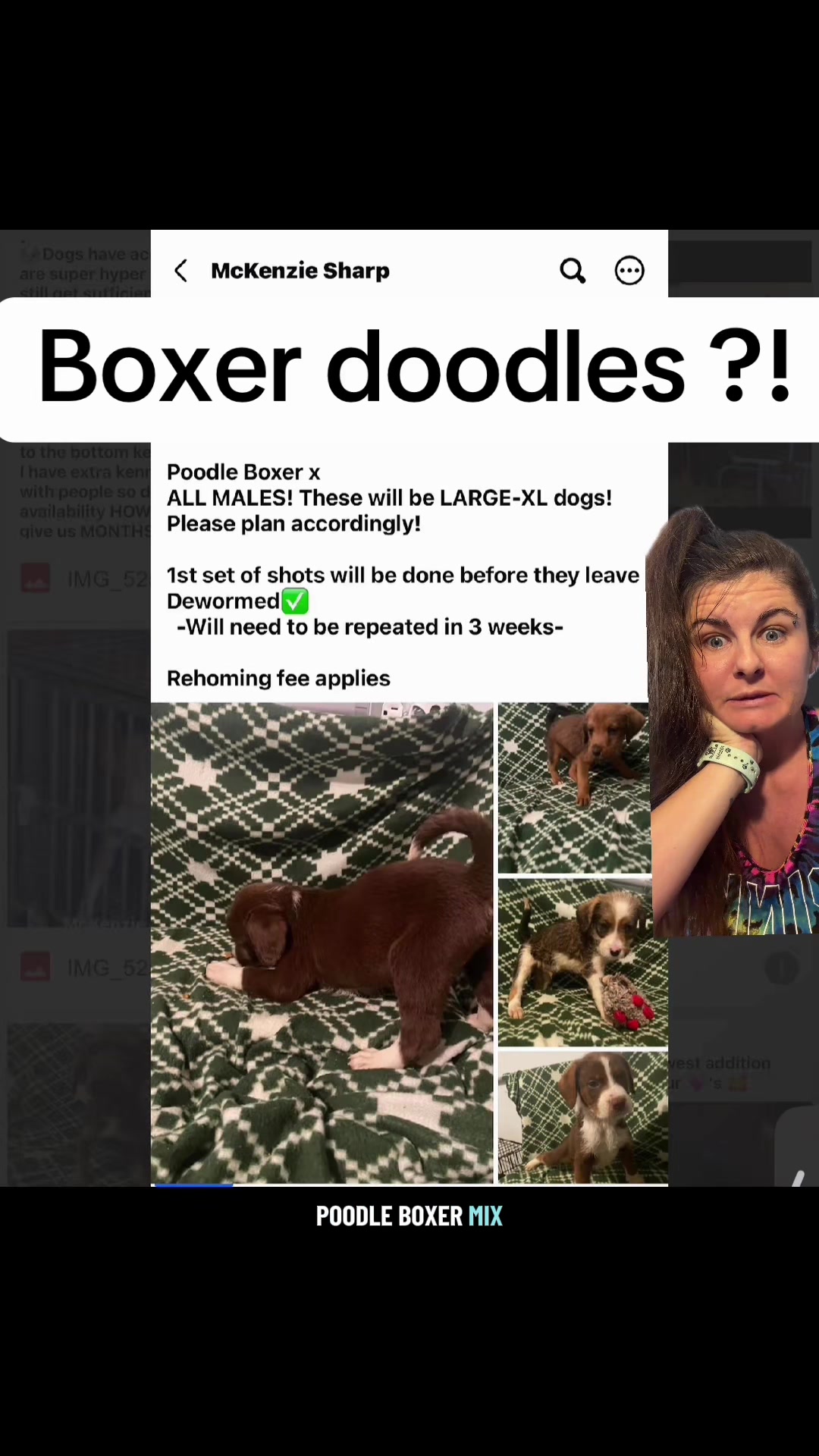@Jess Shark🐾DOG PACK🐾