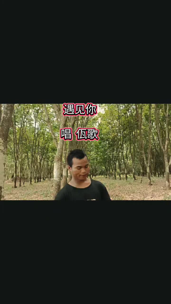 @佤族黑蜜蜂