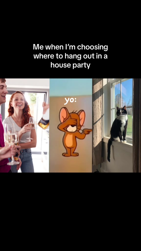@AWF Cats