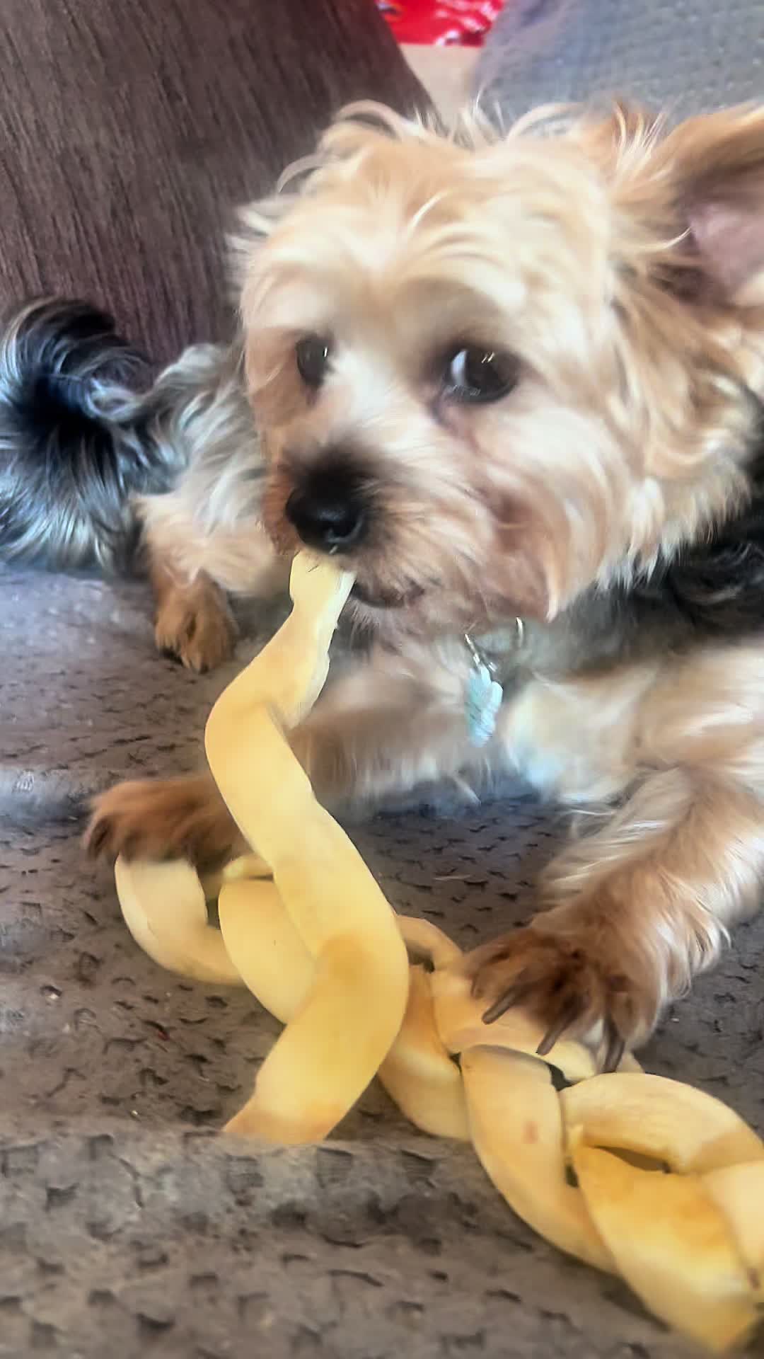 @Pepper_and_Peaches