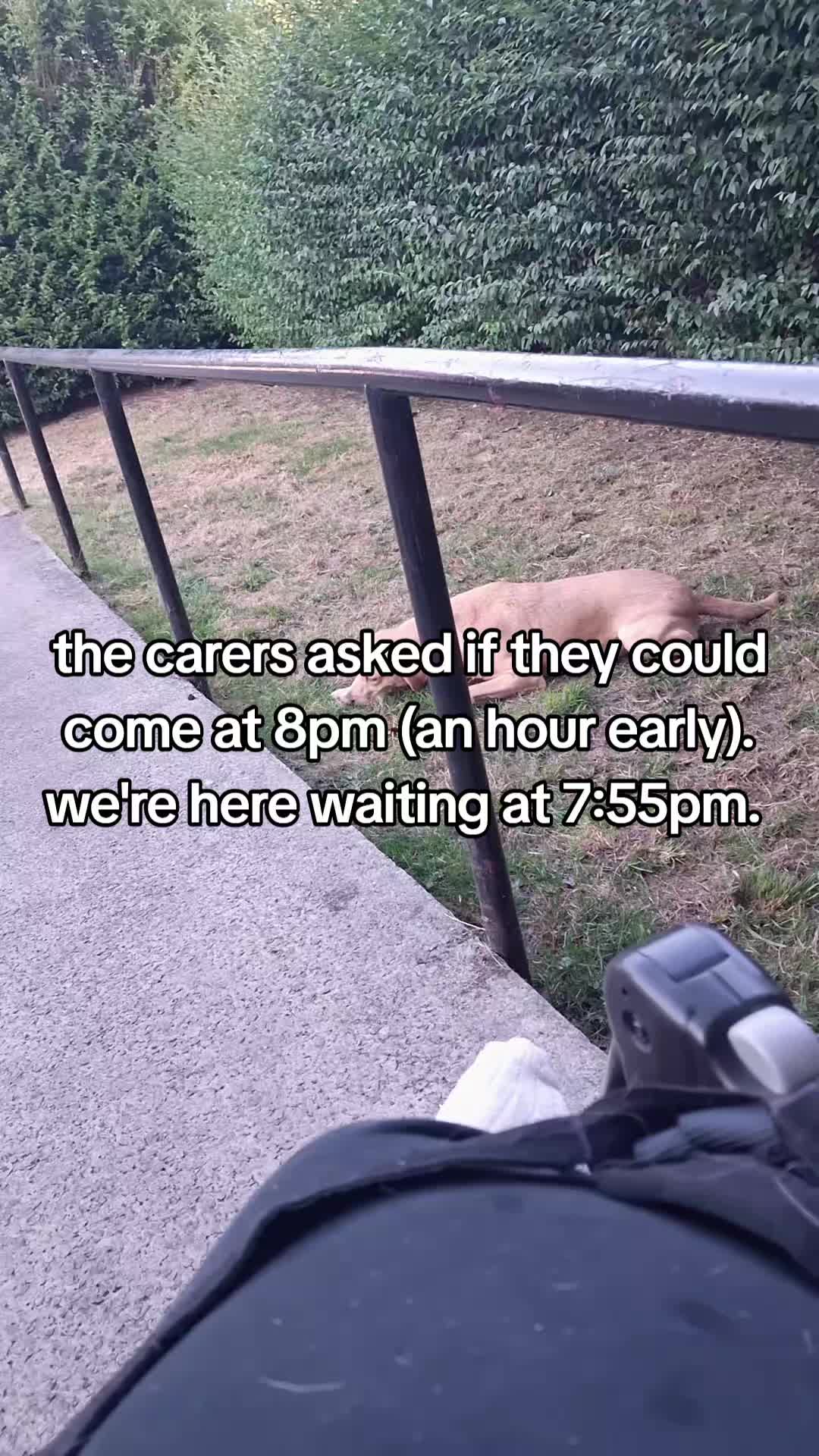@SpasticAsexual 💜🤍🩶🖤👨🦼