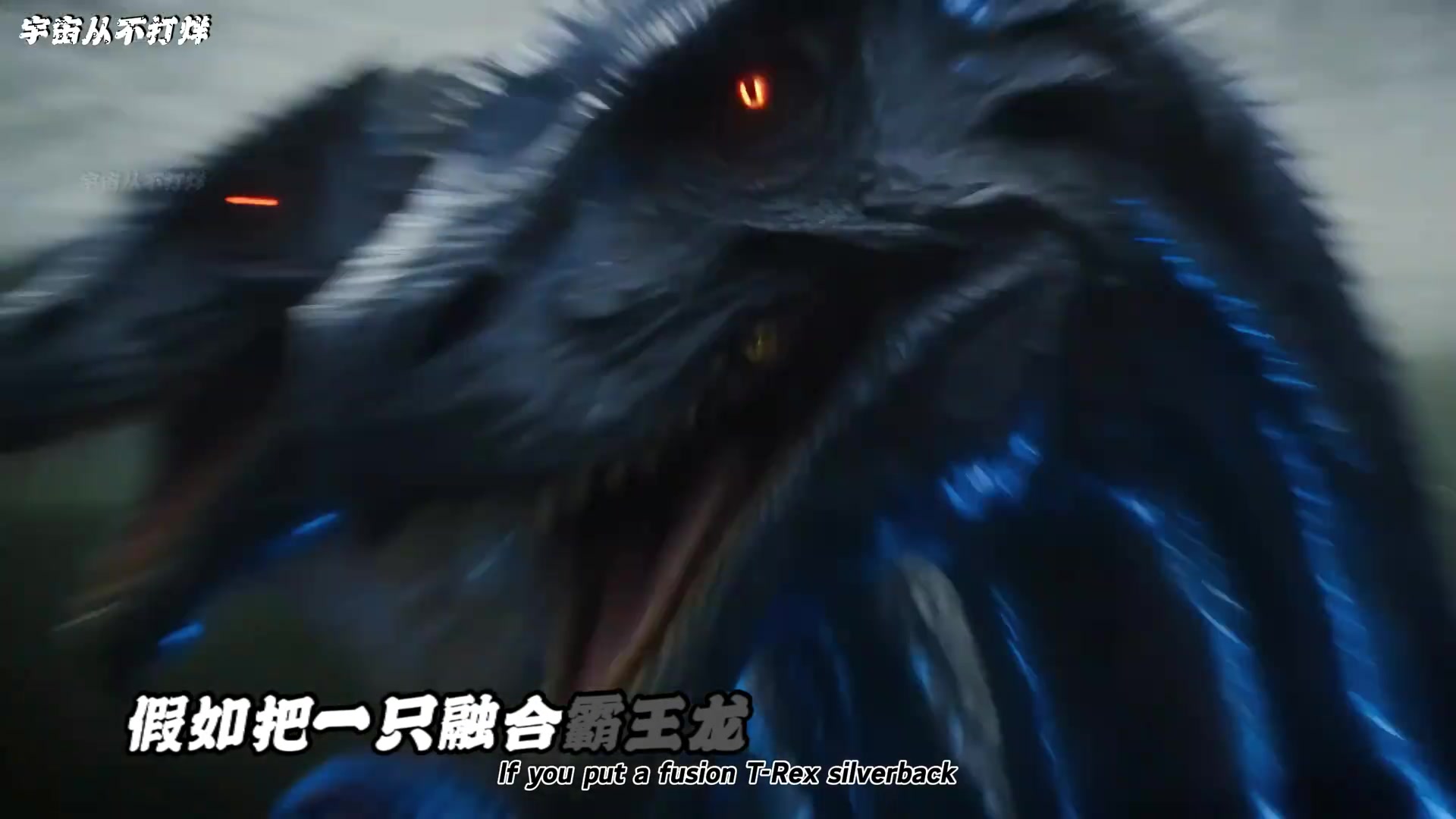 @神秘解碼