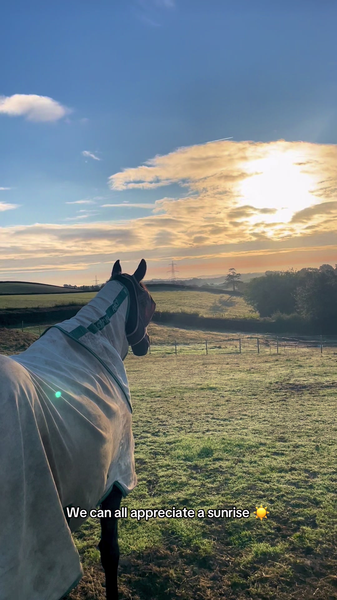 @jodiehenley