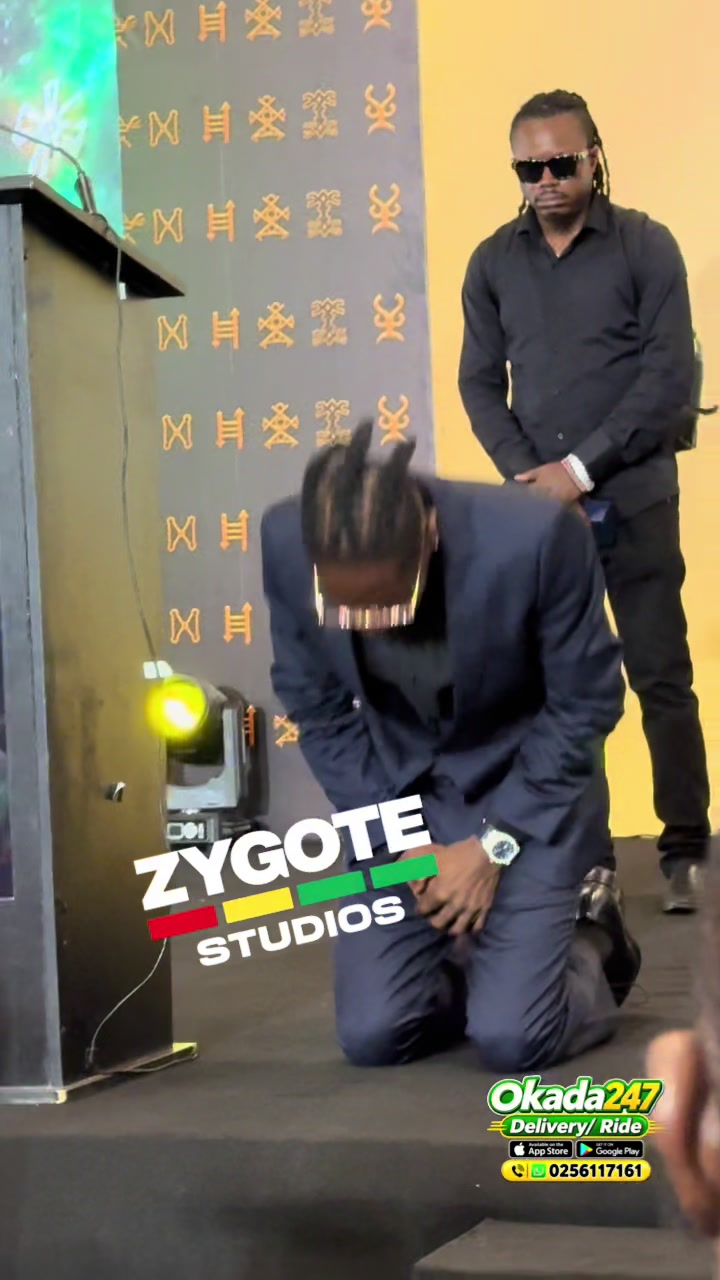 @zygotestudios