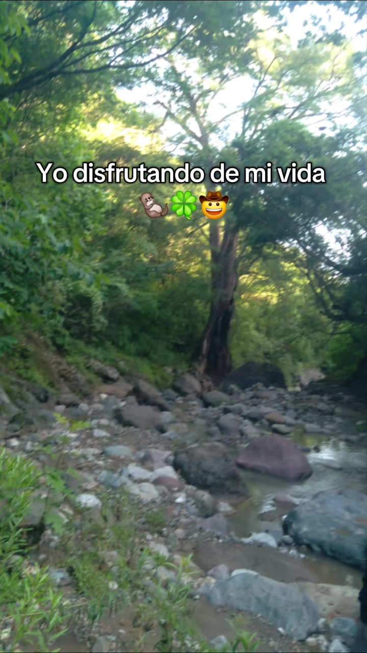 @Daniela Gc