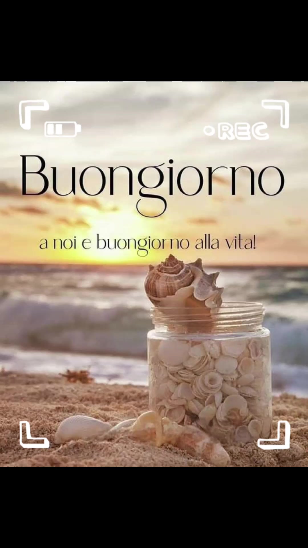 @alessandramarchi726