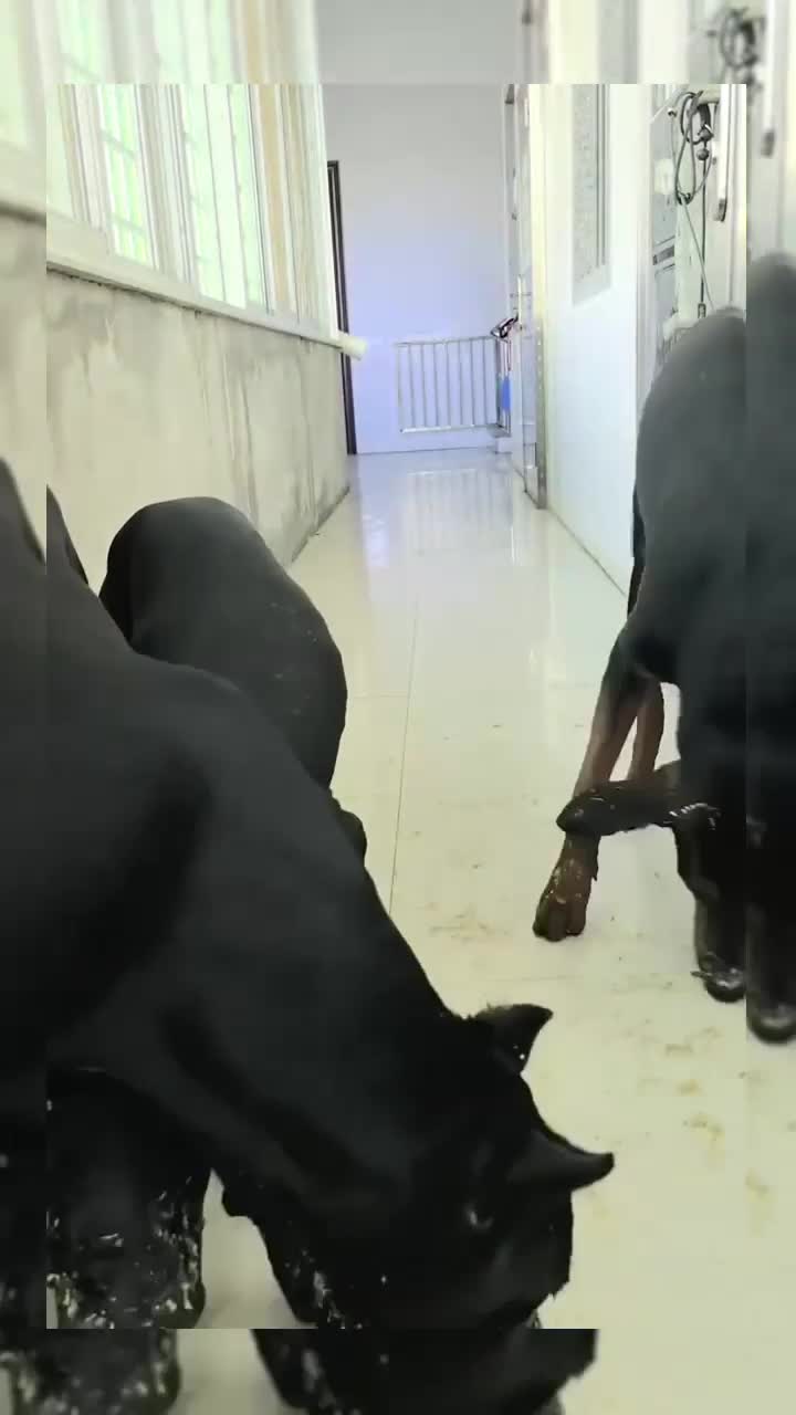 @mame3627