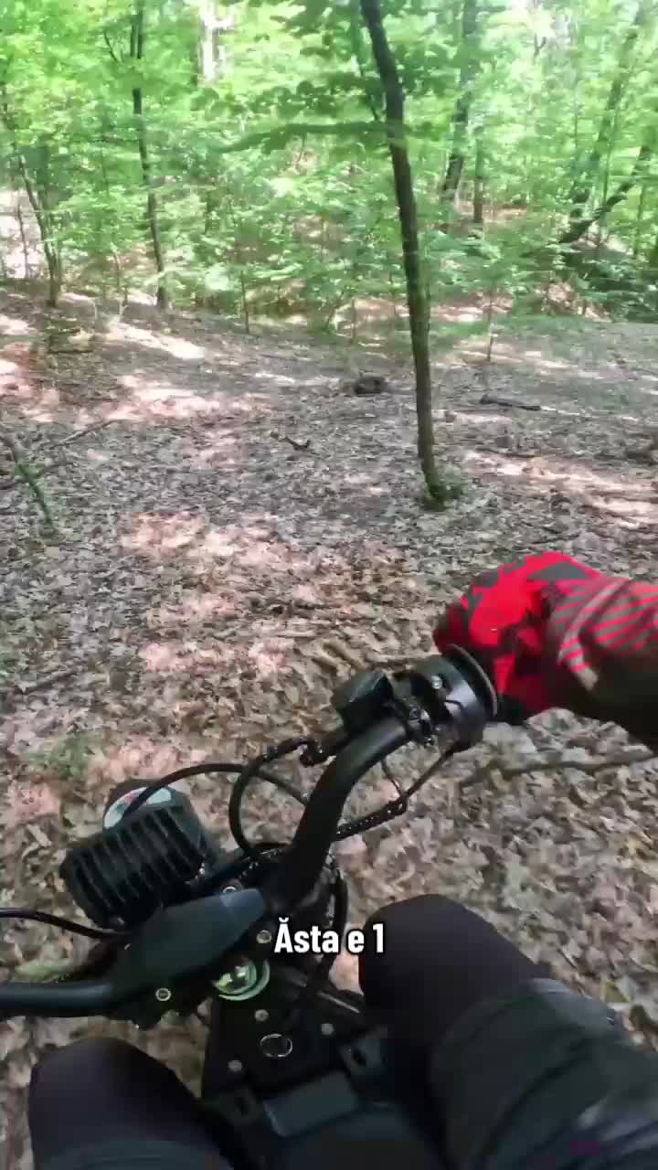 @goguci