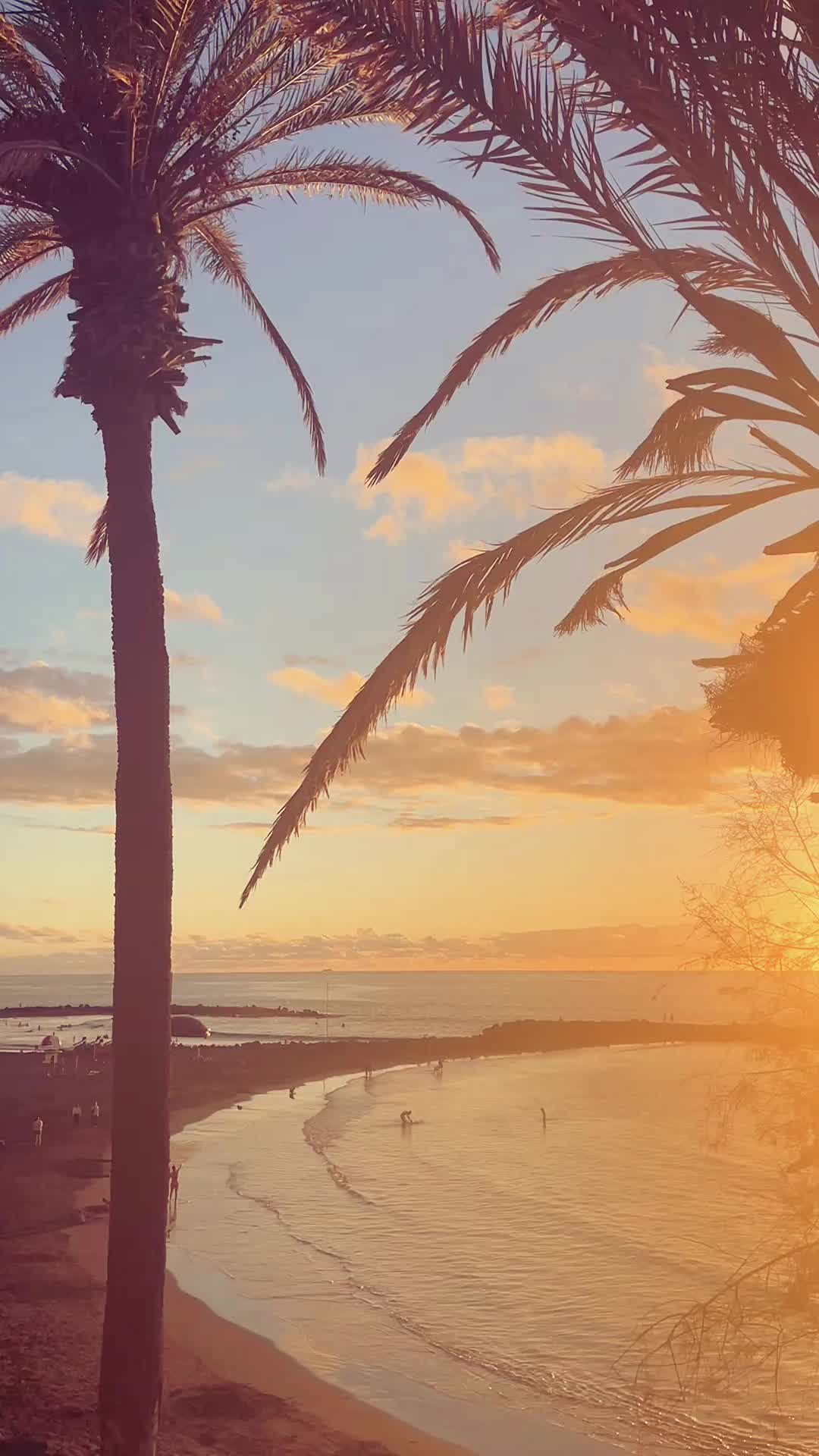 @isabela.iordch