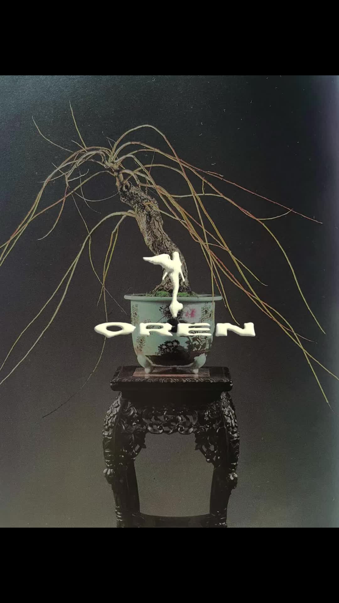 @_oren__