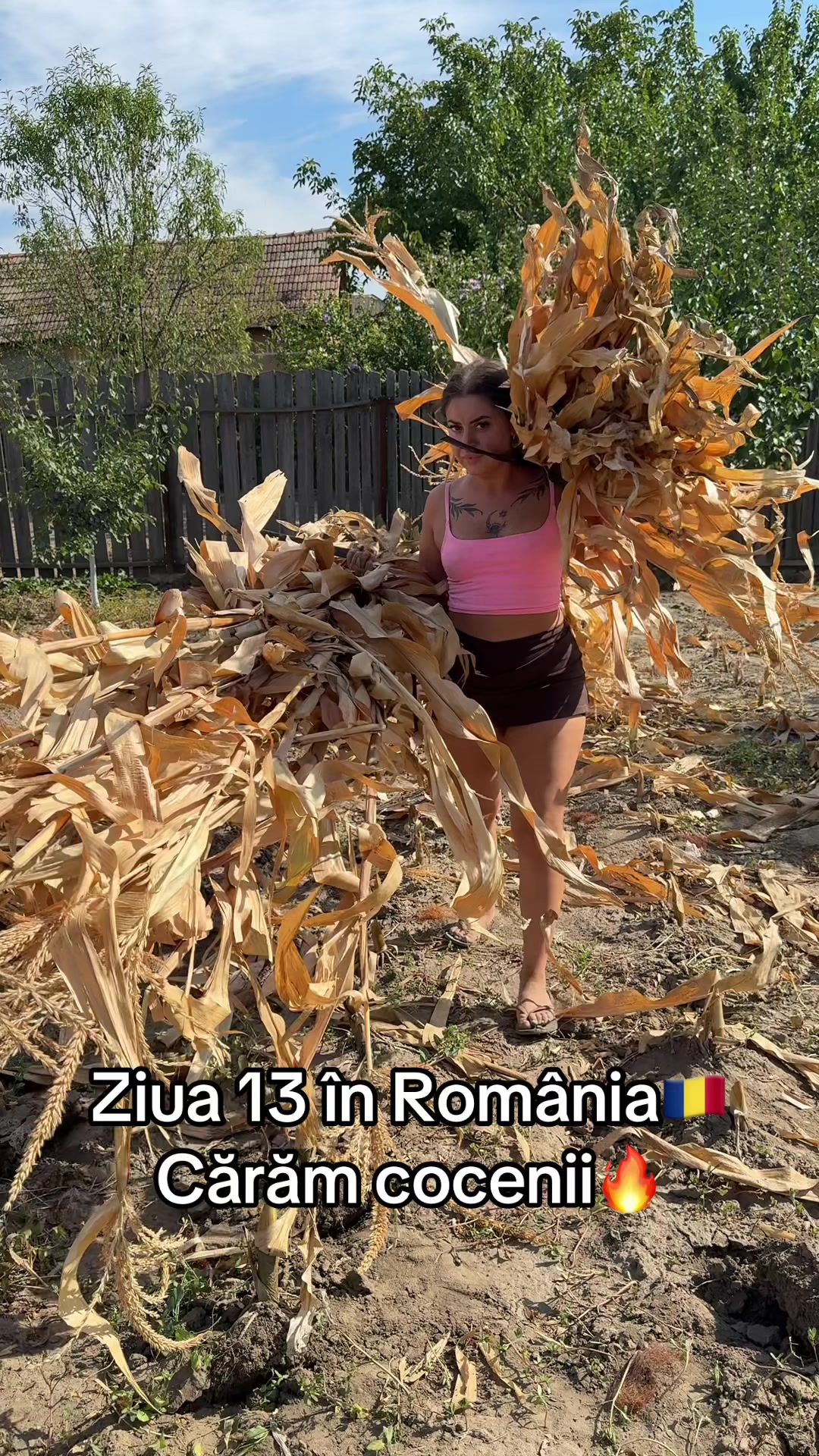 @Madalina Naidin