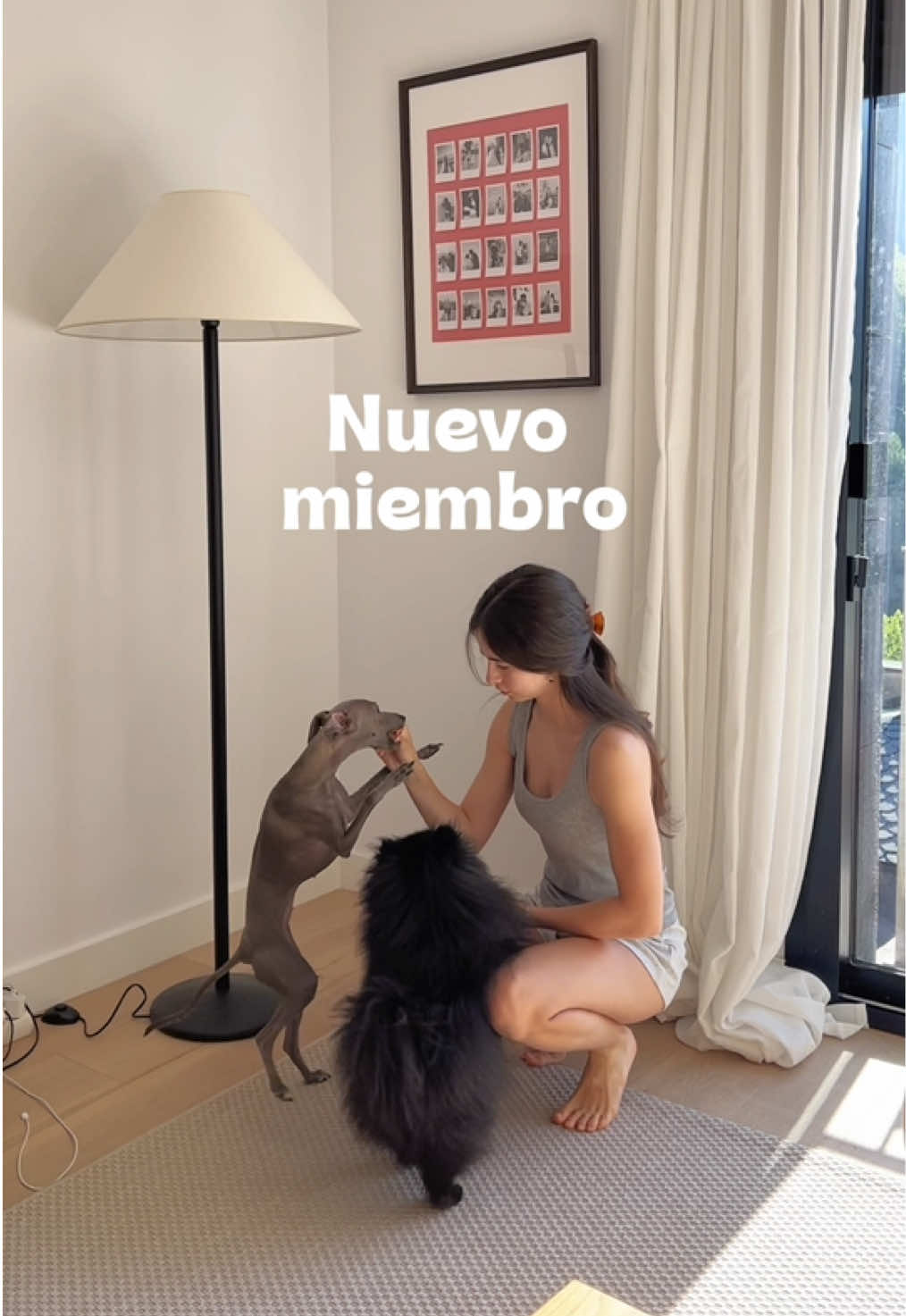 @Andrealonsor