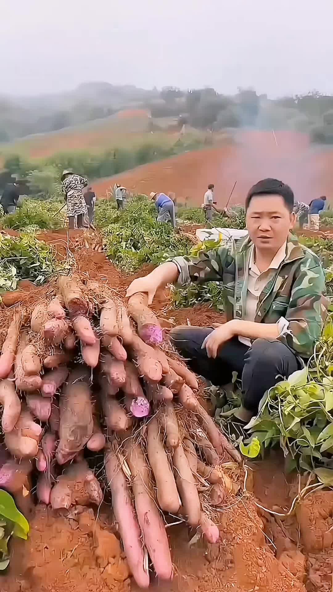 @SatisfyCut