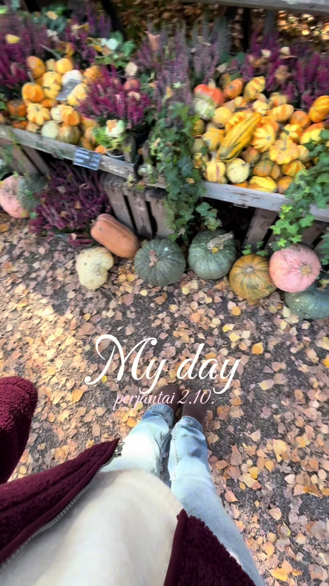 @𝒩𝑒𝓁𝓁𝒾🦢