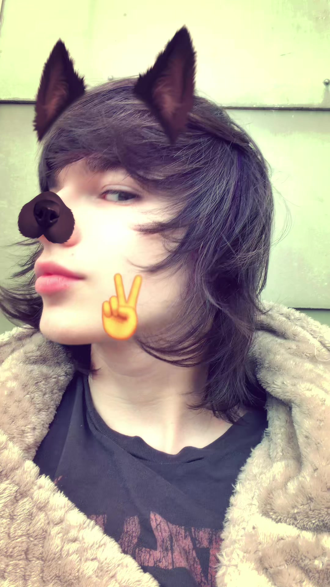 @bushvoid